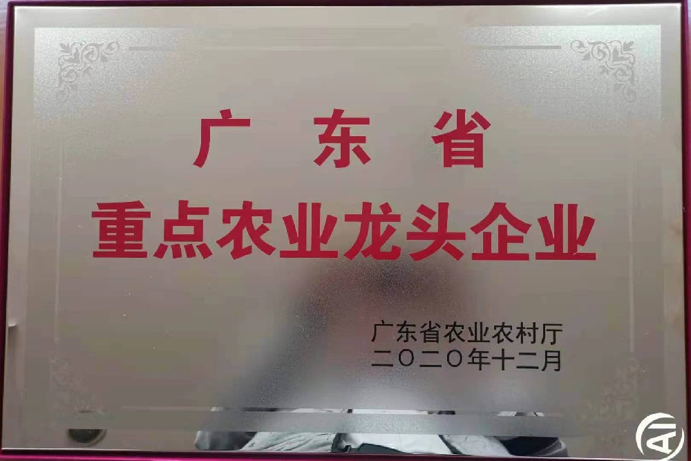 更上一层楼！追求无止境