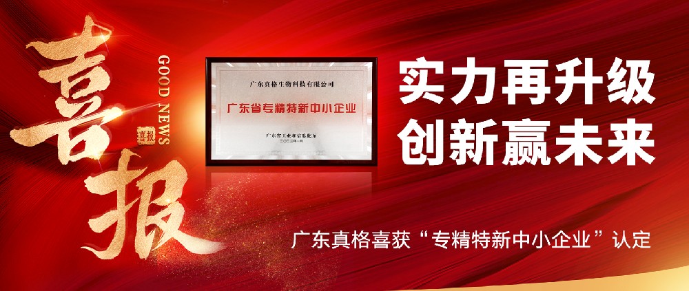 实力再升级，创新赢未来！ ——广东球盟会喜获“专精特新中小企业”认定